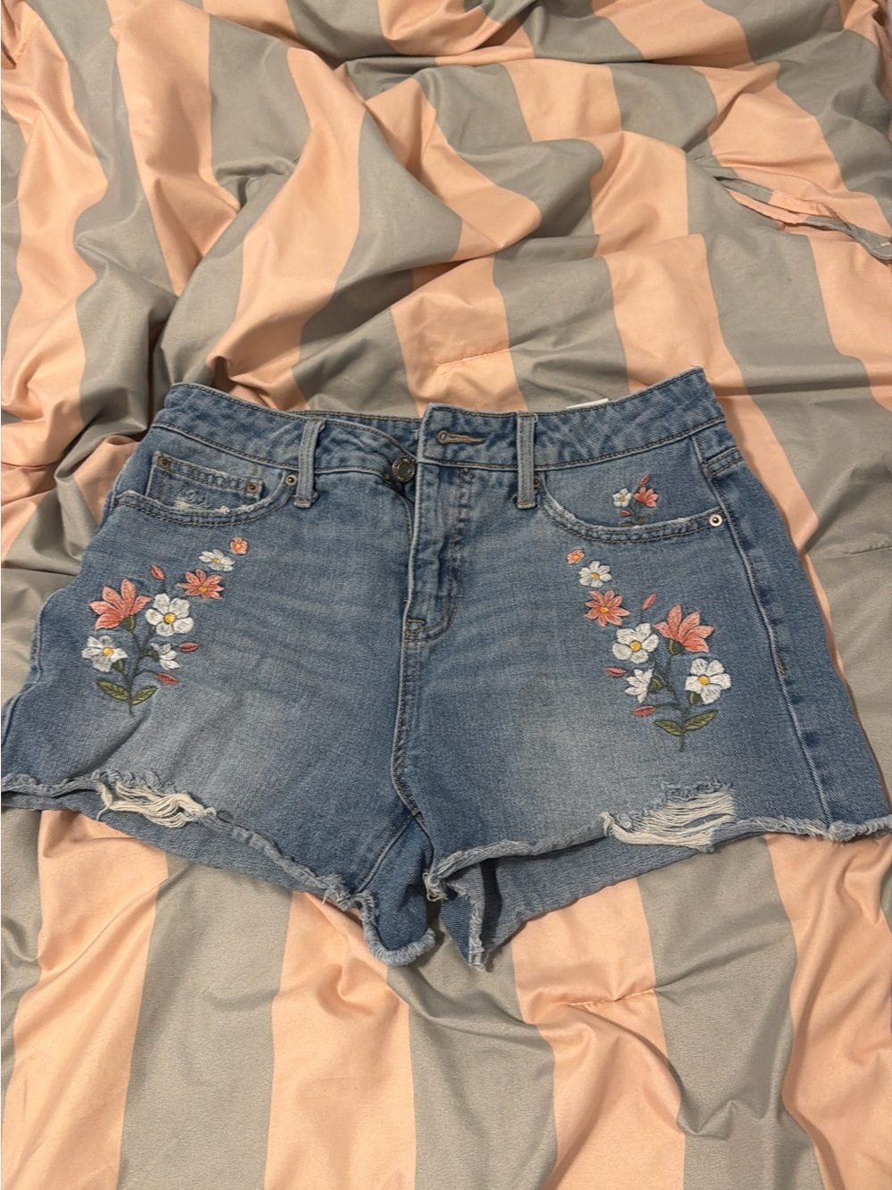Time and Tru Light Blue Embroidered Denim Shorts